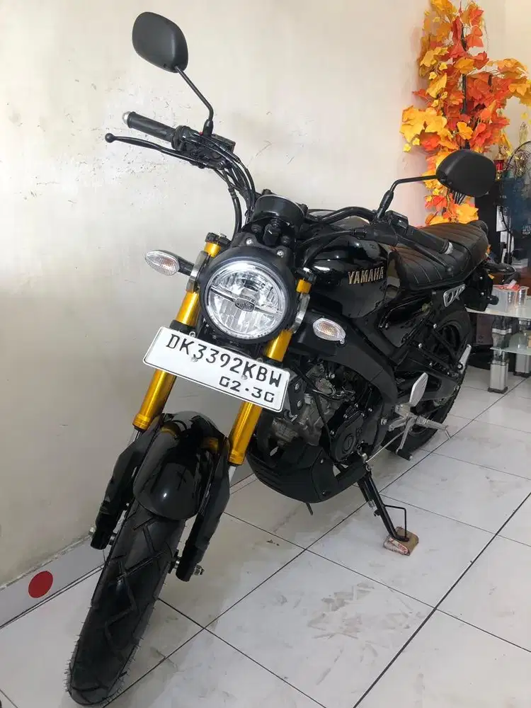 Yamaha XSR Th.2025 Low km 1.018!!