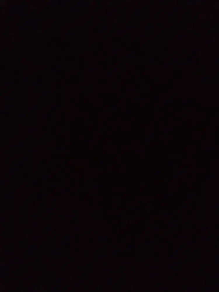 Mencari Pekerjaan sebagai Driver Pribadi Siap Kerja Segera