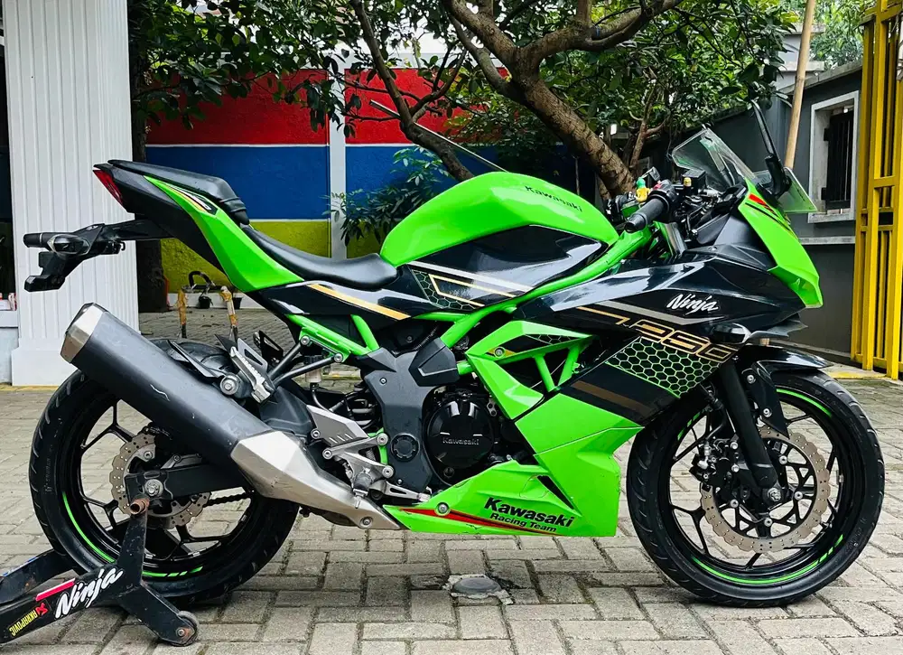 Kawasaki ninja250 mono