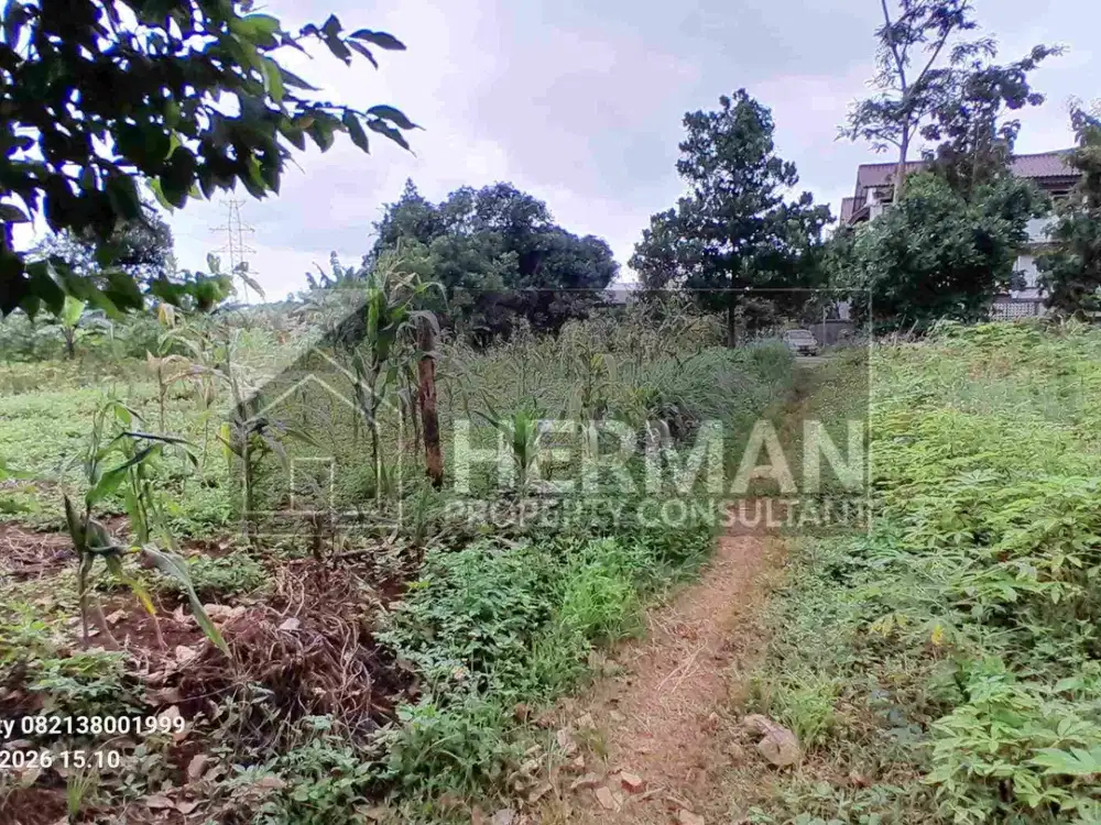 Tanah Tembalang  Ring 1 Undip