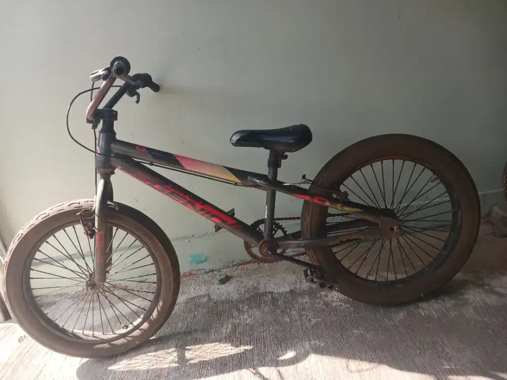Sepeda anak Genio 24