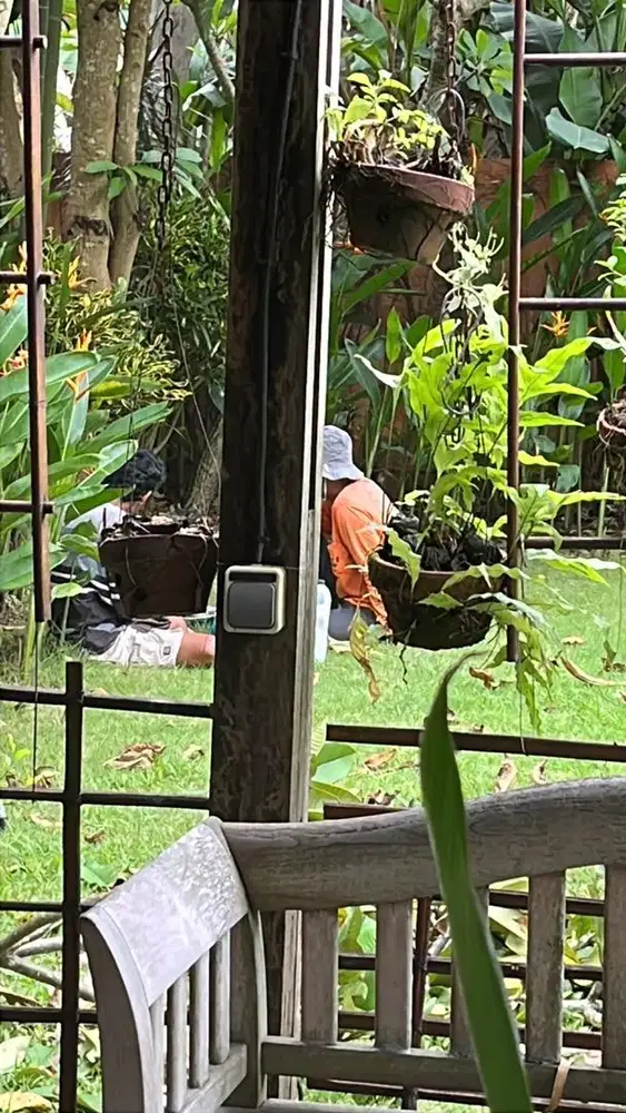 Dibutuhkan segera ART wanita berpengalaman