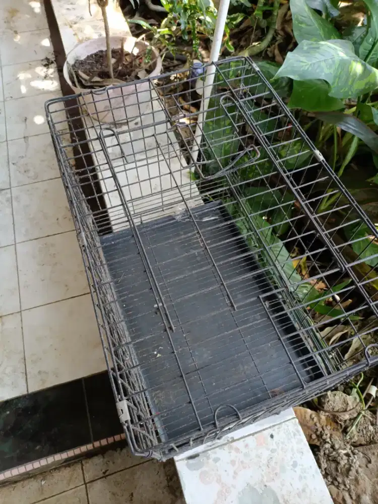 Kandang kucing / anjing