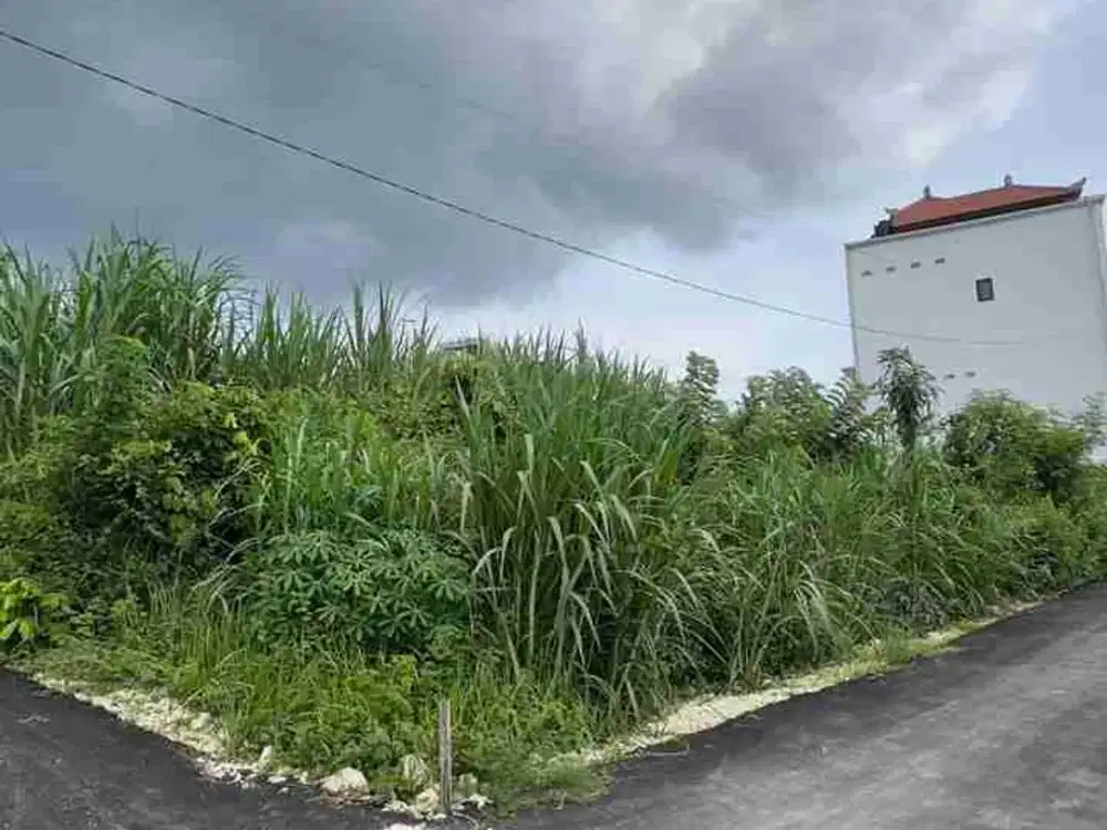 Jual Tanah Hook Luas 382m² Lokasi Jl Nuansa Udayana Dekat Kampus area Jimbaran