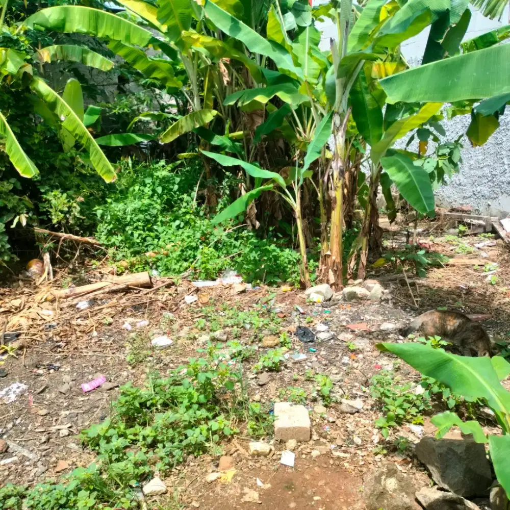 Dijual 2 rumah + 1 tanah kosong