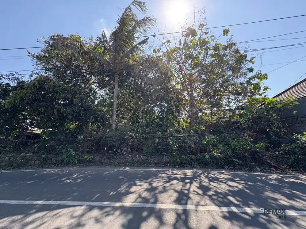 Tanah Strategis 9,8 Are Dijual, di Pecatu, Kuta Selatan Area