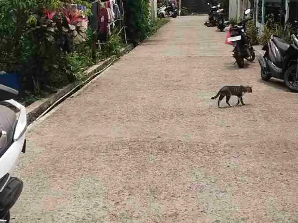 di jual tanah 500 mtr di GDC