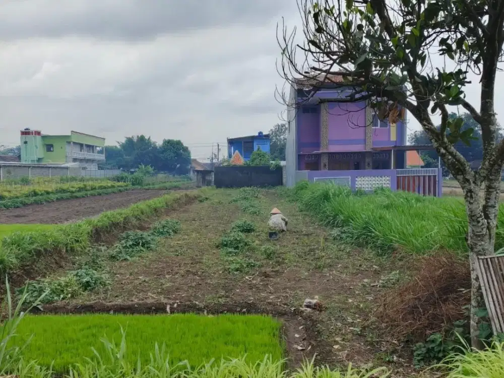 Jual Tanah Pekarangan Murah Di Purwomartani; Lingkungan Tenang & Nyaman, Pemandangan Persawahan