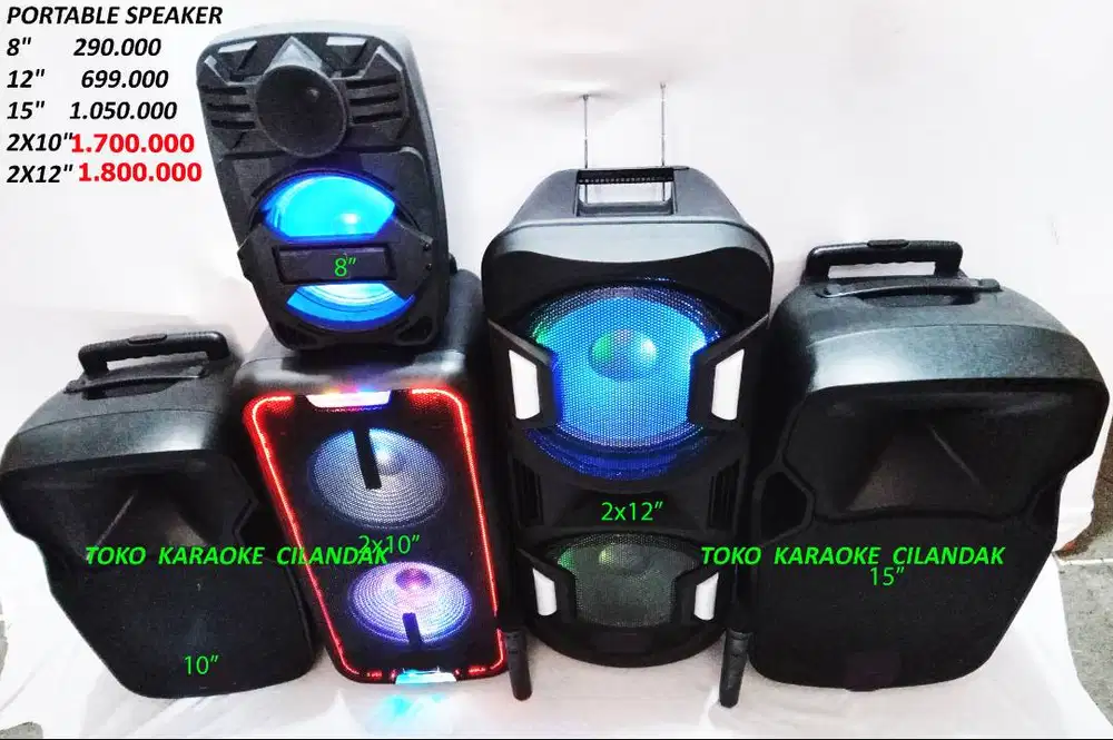 speaker portable 2x10in