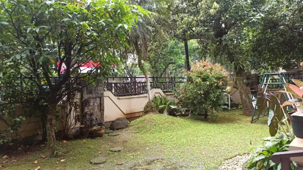 Jasa Sapu & Bersih Halaman Rumah Luas / Taman (Panggilan)