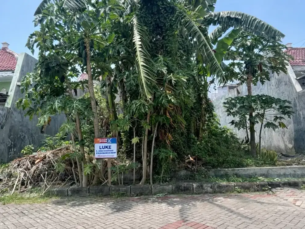tanah di jual nego sampai deal