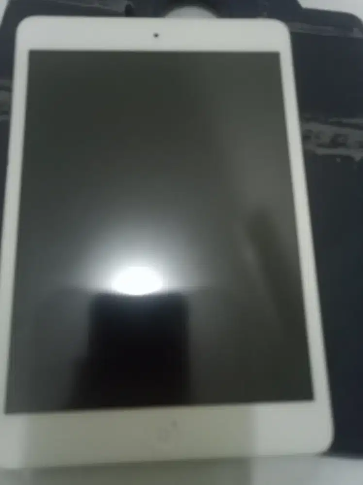 Apple iPad mini Generasi pertama