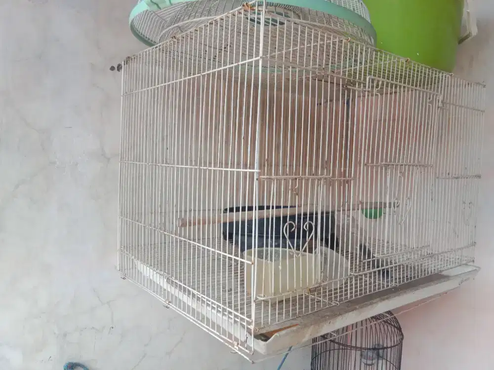 Dijual sangkar burung/kelinci