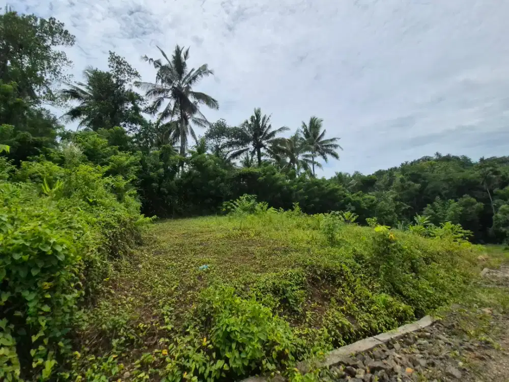 Dijual tanah di tabanan strategis