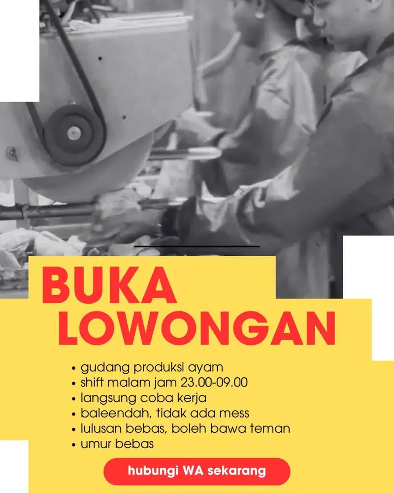 LANGSUNG COBA KERJA, DICARI SEGERA