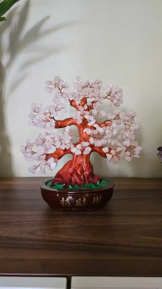 Pohon Uang Fengshui. Pembawa Hoki. Cantiik utk hiasan rumah