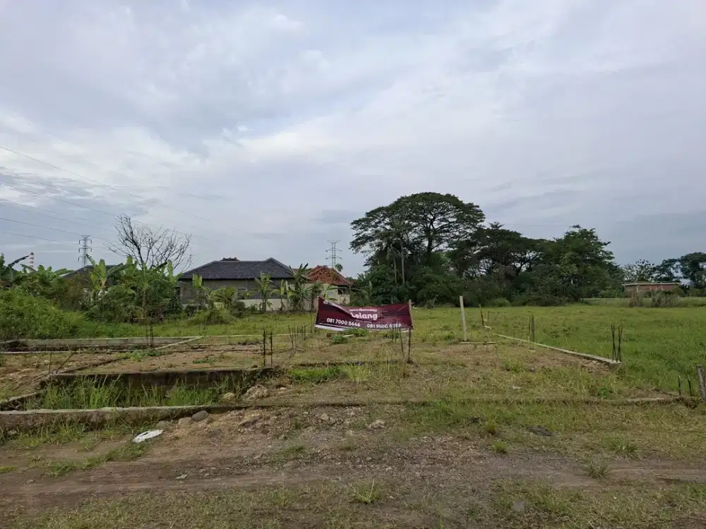 Tanah Strategis dan Murah di Kawasan Mundu, Cirebon dekat dengan Terminal Harjamukti