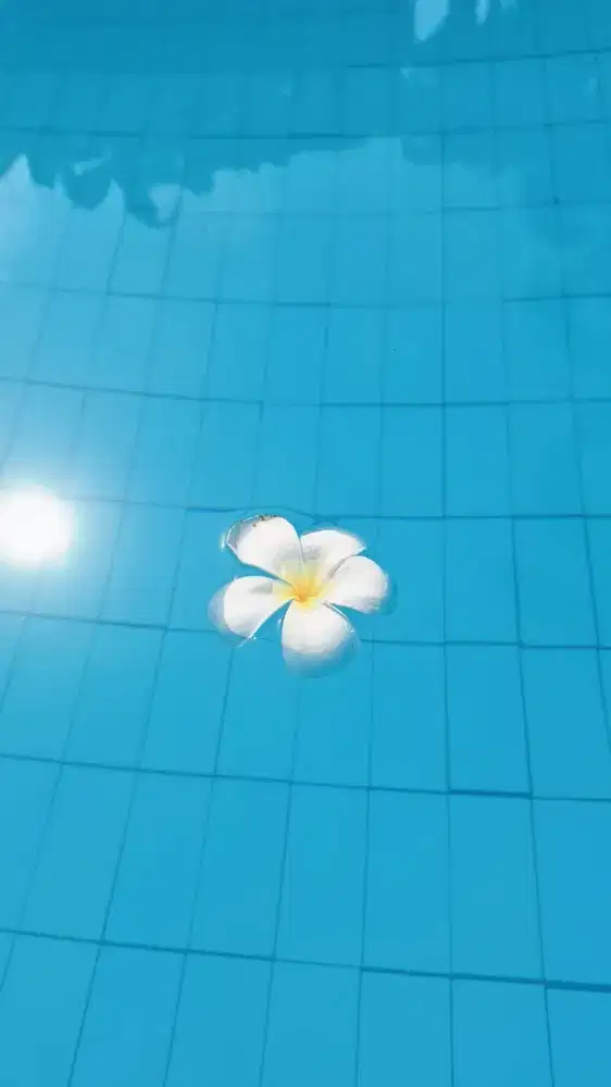 LOWONGAN KERJA UNTUK ART WANITA