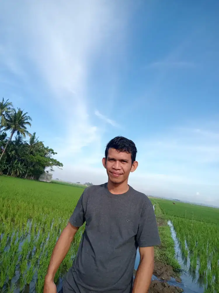 Jasa Taman .dan Renovasi Rumah