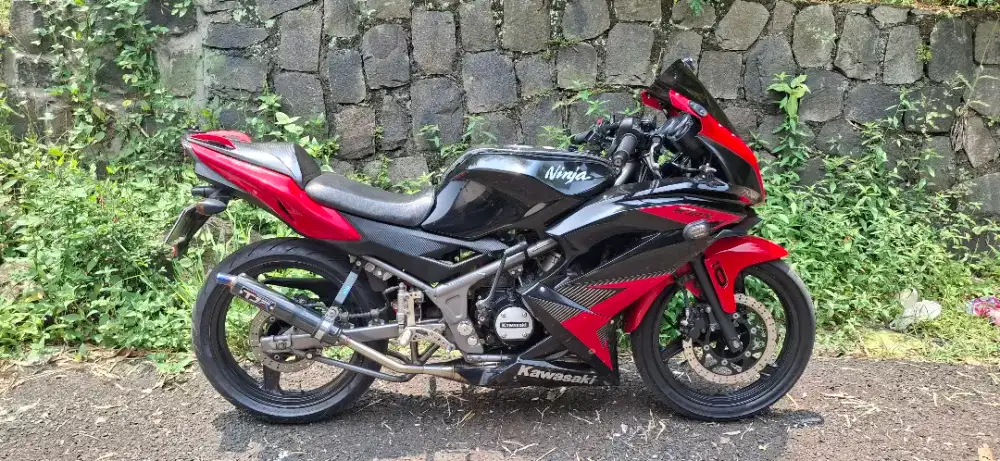 Ninja RR new 2015
