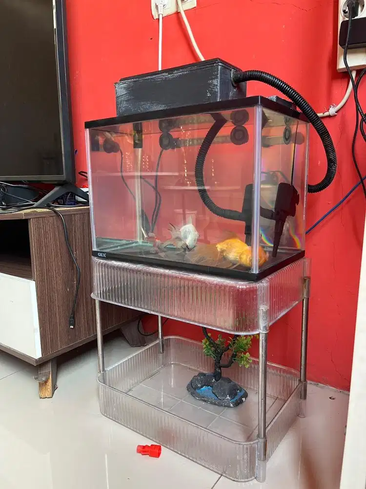 Dijual akuarium, filter pompa air, aerator jebo,