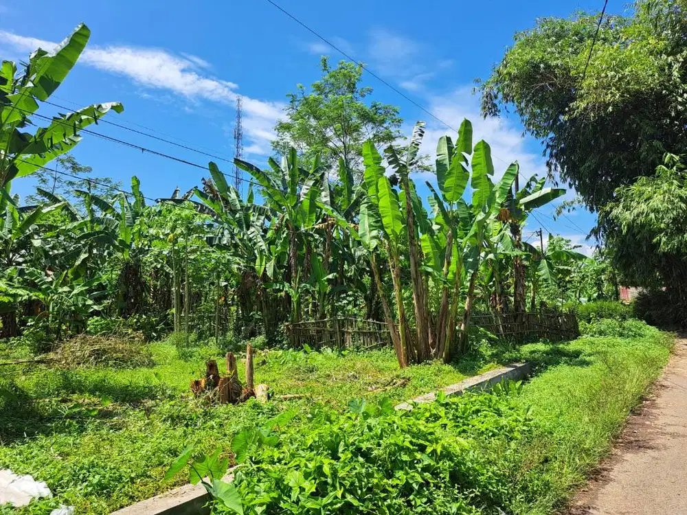 Tanah Desa Purwodadi 608m2 cocok untuk usaha atau rumah tinggal