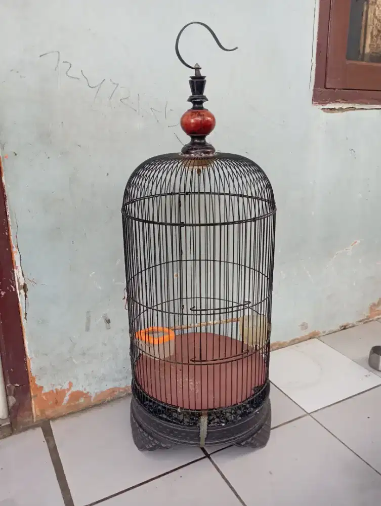 Kandang kapsul burung lovebird