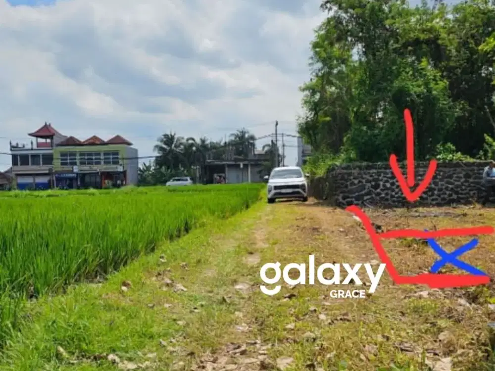 DIJUAL TANAH DEKAT PANTAI KEDUNGU NYITDAH TABANAN