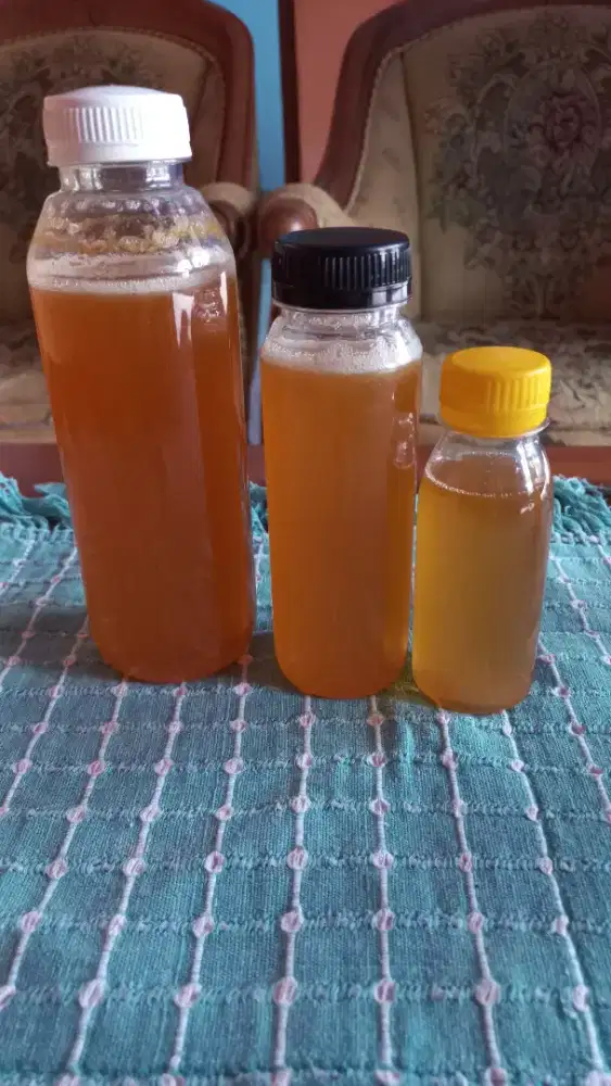 Madu hutan lebah liar 100% murni