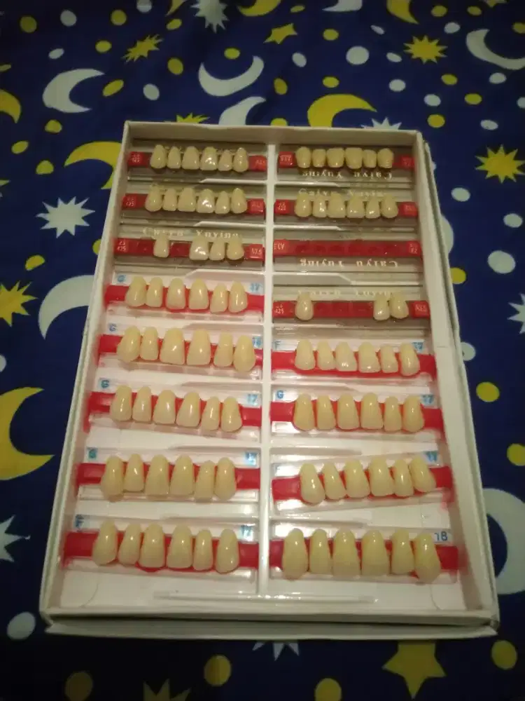 Pasang gigi palsu panggilan