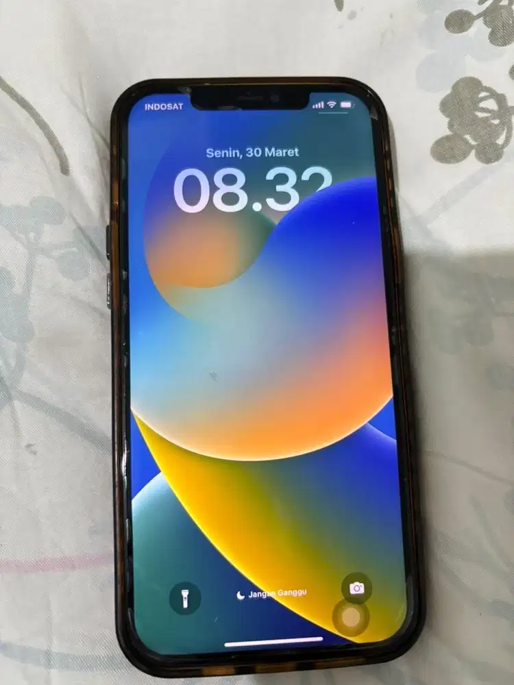 Jual Iphone 12 Pro Max pemakaian pribadi (cewek) 4 Tahun