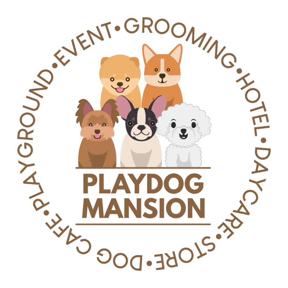 Lowongan kerja : Admin - Playdog Mansion (grooming and dog hotel)