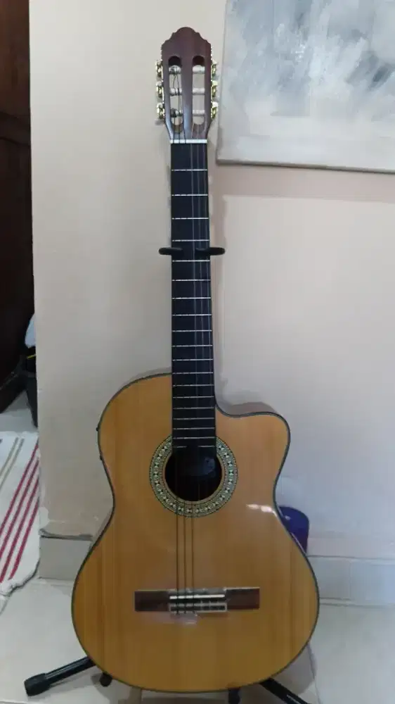Gitar Klasik Elektrik Peavey