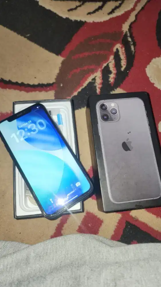 iPhone 11 Pro Inter 256 GB