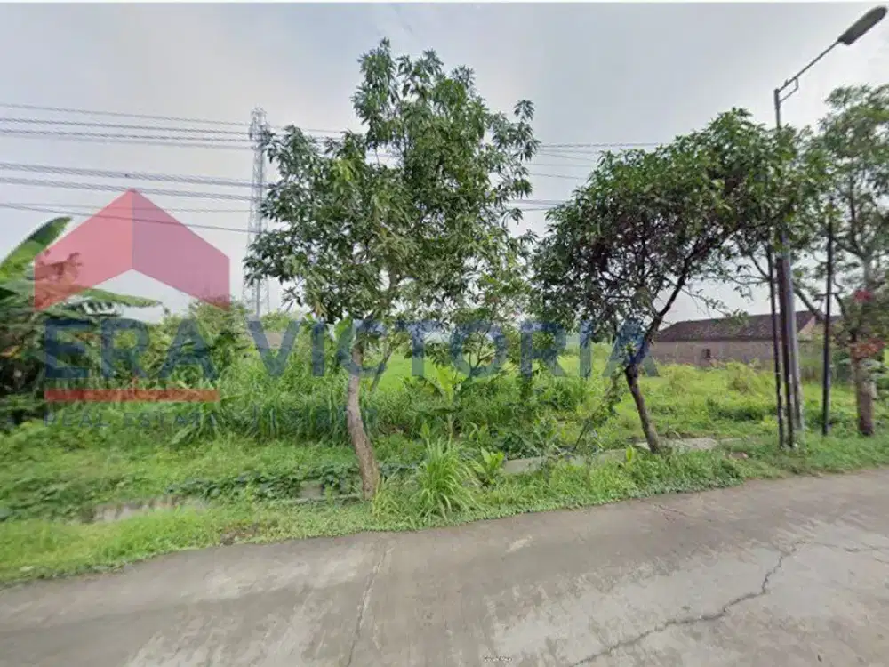 Tanah Pertanian Pinggir Jalan Raya Provinsi – Masuk Zona Industri, Prospek Tinggi