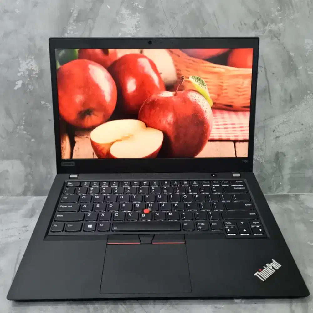 LENOVO THINKPAD T495S