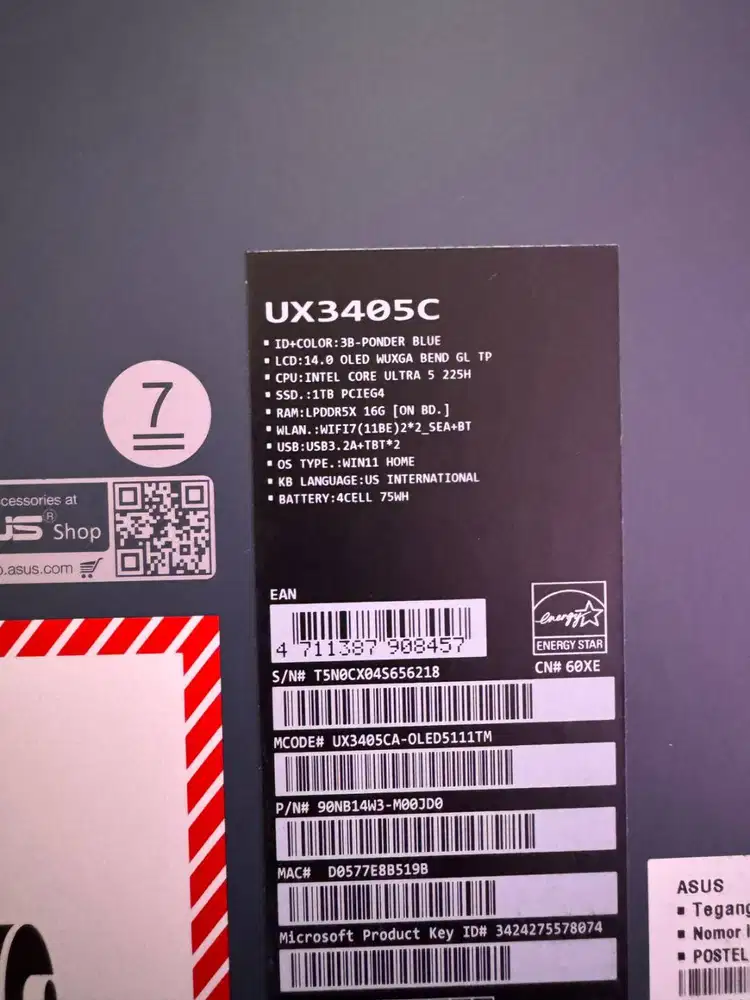 laptop asus zenbook 14 oled