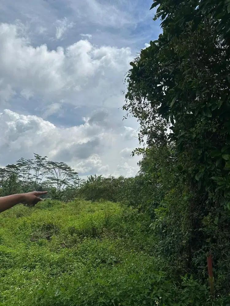 Tanah Cocok untuk Perumahan