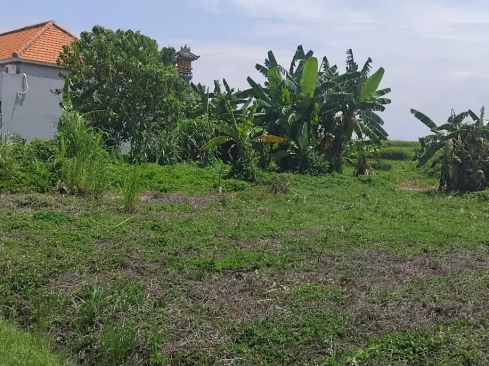 Di jual tanah 1,5 are Lokasi di area perumahan Kertaphala jln siulan penatih Denpasar timur