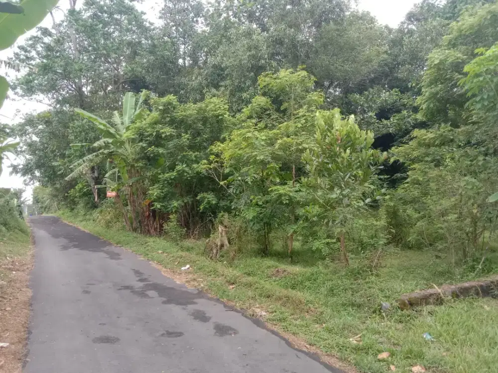 Jual Tanah di Berbah Jalan Wonosari