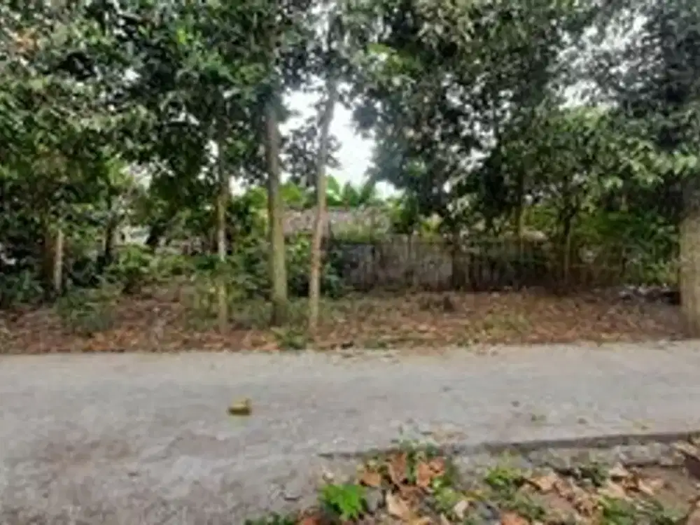 Dijual Tanah Murah Tlogoadi Sleman Cocok Kost atau Rumah Tinggal