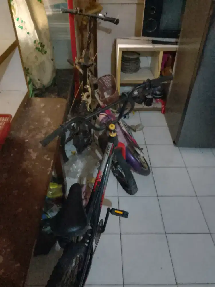 Sepeda Anak bekas pakai