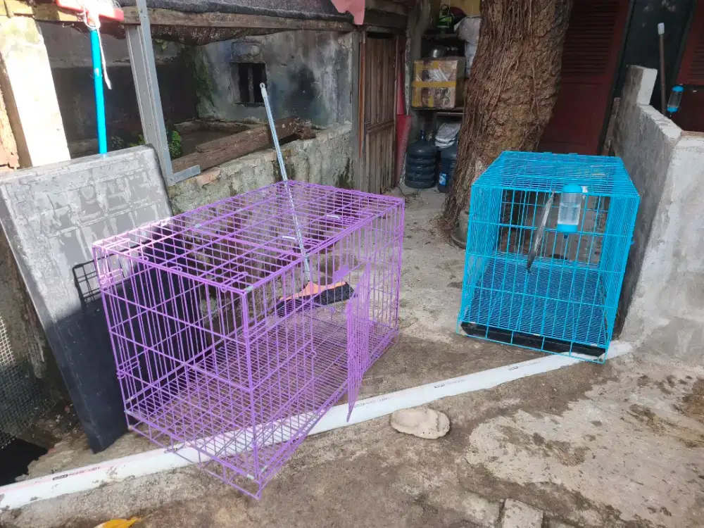 Kandang kotak besi jumbo