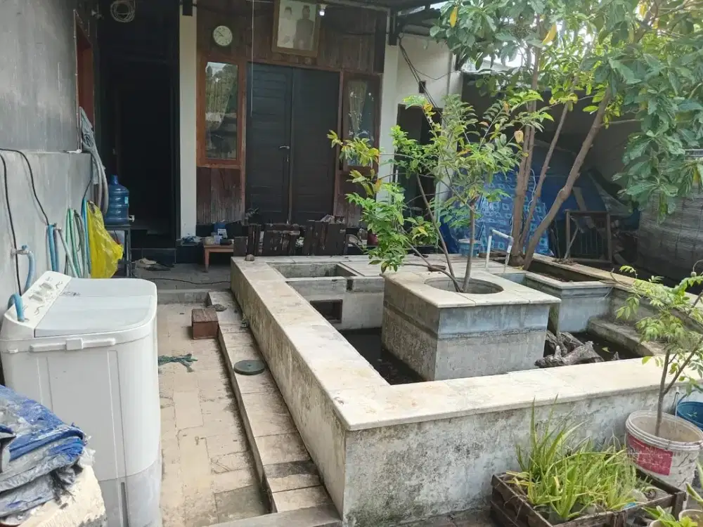 JUAL TANAH LANGKA BAGUS PURA DEMAK