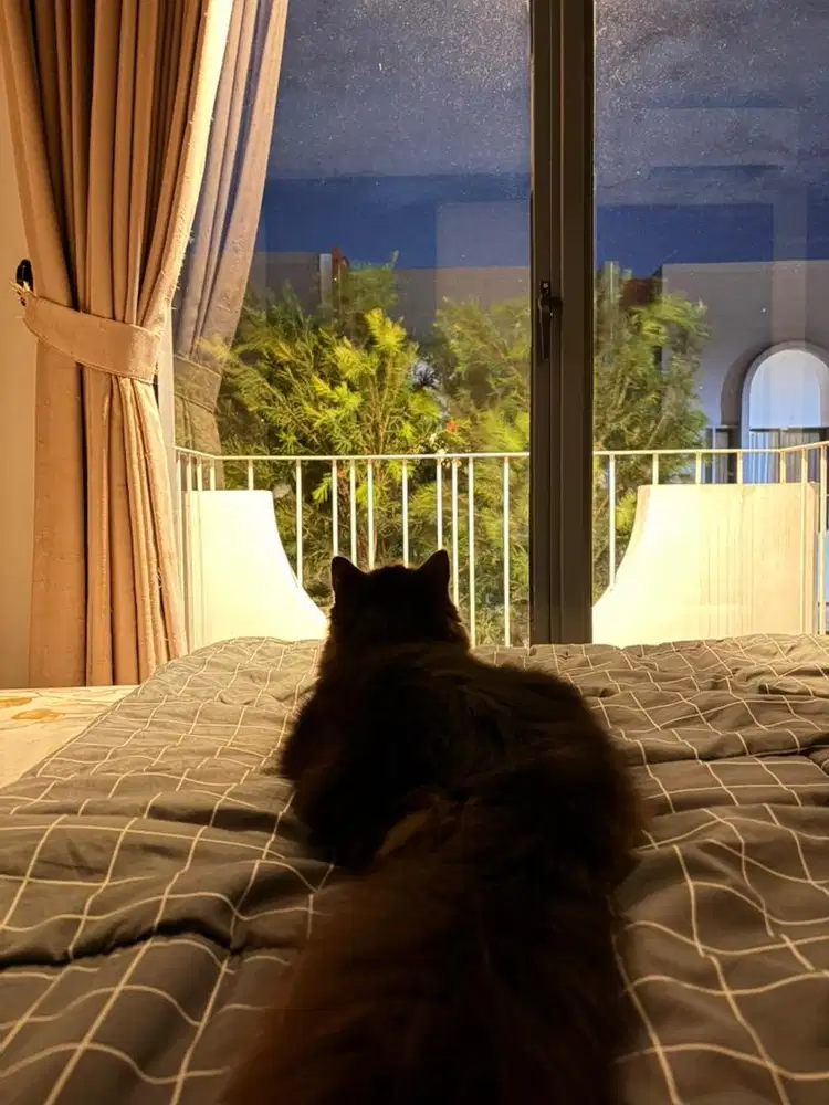 Asisten rumah tangga wanita menginap