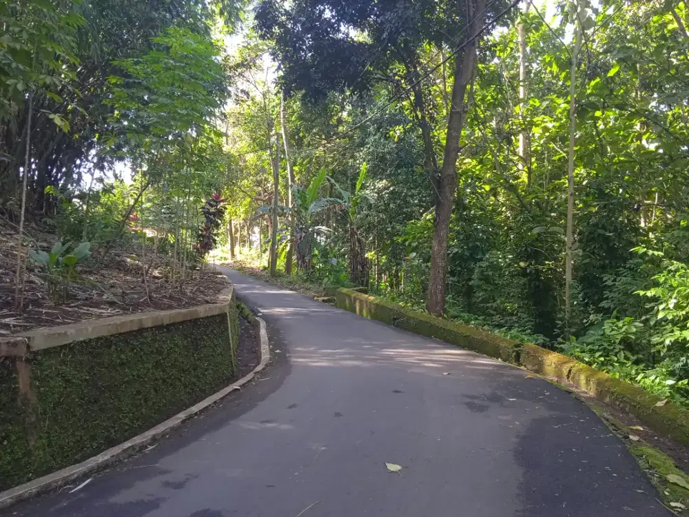 nyari pekerjaan. yg jam kerja nya malem sampe pagi.