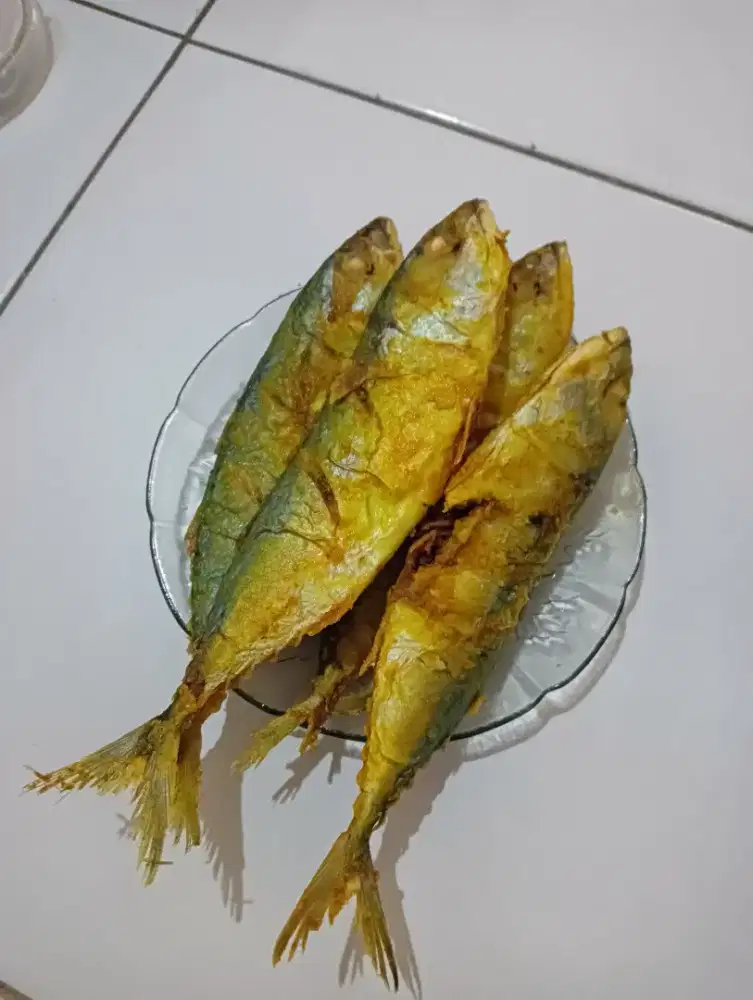 Sedang mencari pekerjaan