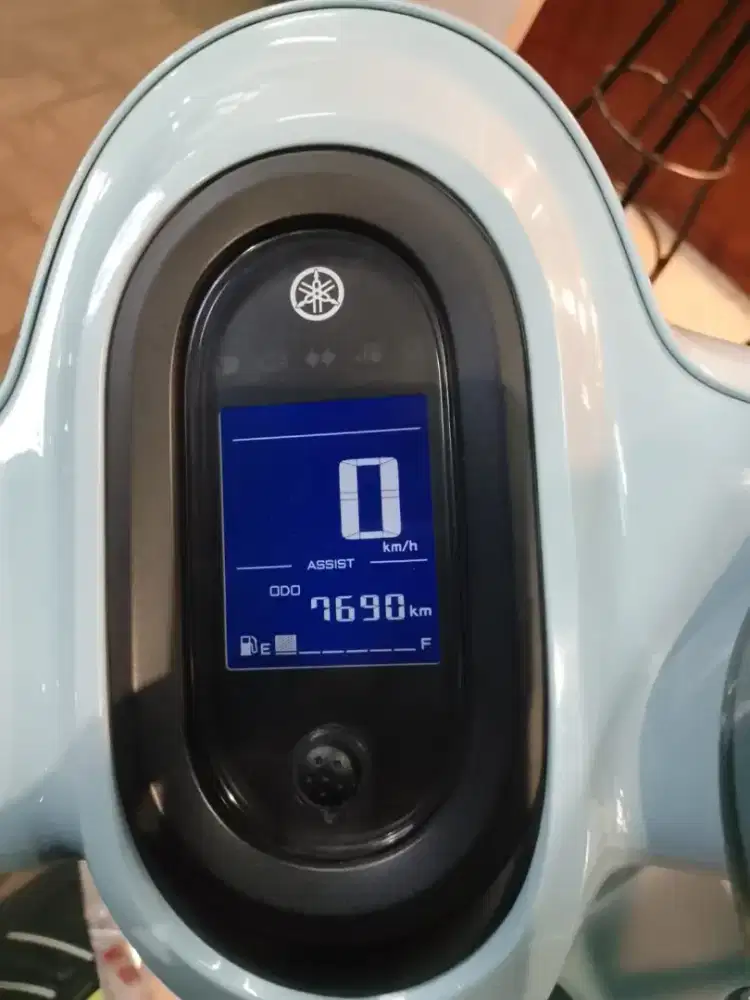 flash sale fazio 19 jt nett