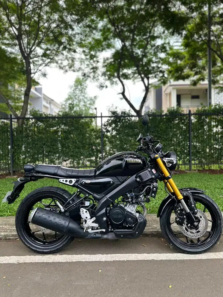 Yamaha XSR Th. 2024
