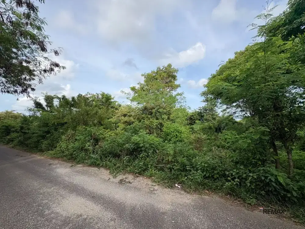 Tanah Premium 30 Are Zona Pertanian Dijual, di Kutuh Badung Area